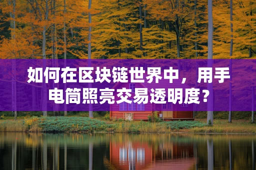 如何在区块链世界中，用手电筒照亮交易透明度？