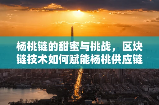 杨桃链的甜蜜与挑战，区块链技术如何赋能杨桃供应链？