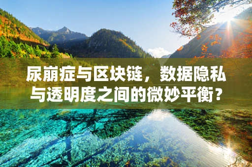 尿崩症与区块链，数据隐私与透明度之间的微妙平衡？