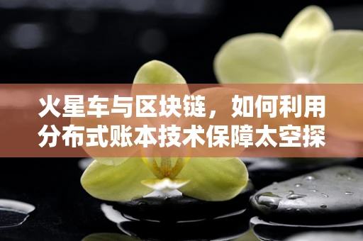 火星车与区块链，如何利用分布式账本技术保障太空探索的透明与安全？