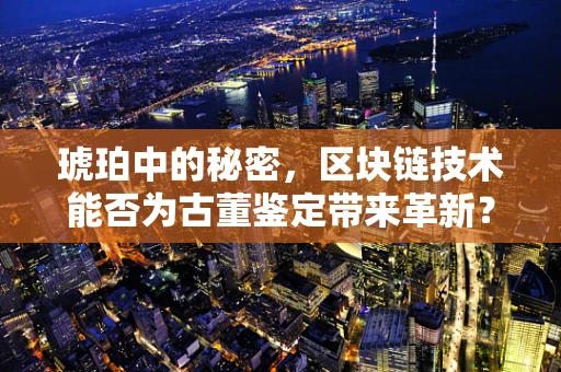 琥珀中的秘密，区块链技术能否为古董鉴定带来革新？