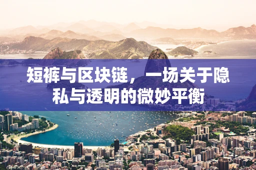 短裤与区块链，一场关于隐私与透明的微妙平衡