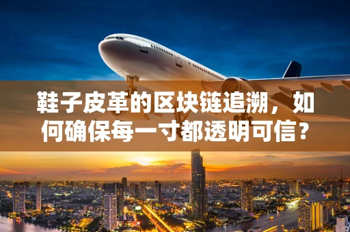 鞋子皮革的区块链追溯，如何确保每一寸都透明可信？