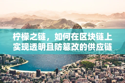 柠檬之链，如何在区块链上实现透明且防篡改的供应链管理？