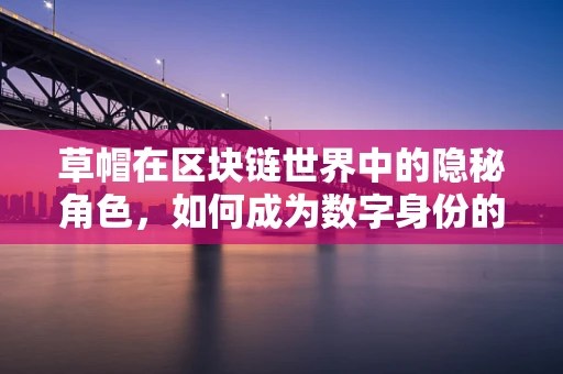 草帽在区块链世界中的隐秘角色，如何成为数字身份的守护者？