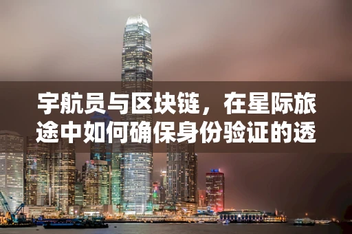 宇航员与区块链，在星际旅途中如何确保身份验证的透明与安全？