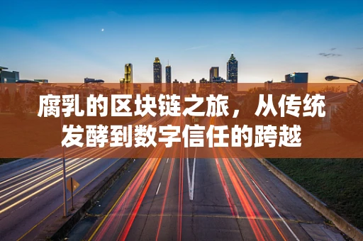 腐乳的区块链之旅，从传统发酵到数字信任的跨越