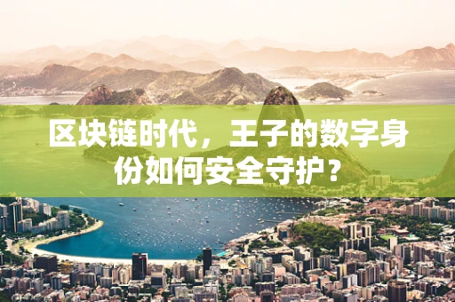 区块链时代，王子的数字身份如何安全守护？