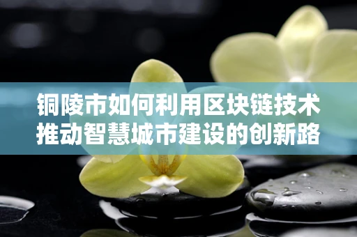 铜陵市如何利用区块链技术推动智慧城市建设的创新路径？