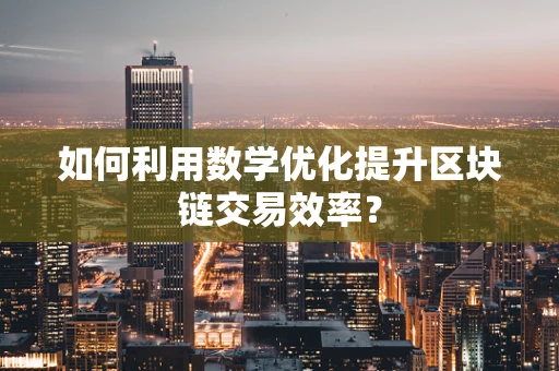 如何利用数学优化提升区块链交易效率？