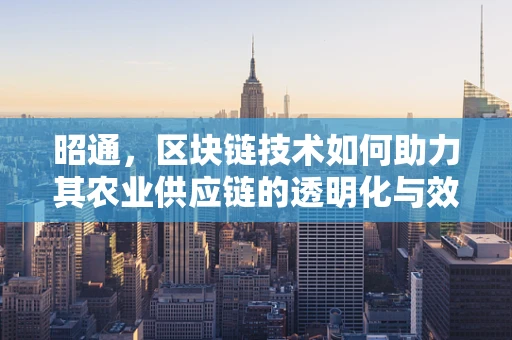 昭通，区块链技术如何助力其农业供应链的透明化与效率提升？