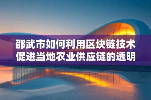 邵武市如何利用区块链技术促进当地农业供应链的透明化与效率提升？