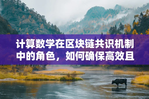 计算数学在区块链共识机制中的角色，如何确保高效且安全的网络同步？
