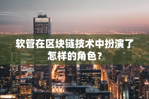 软管在区块链技术中扮演了怎样的角色？