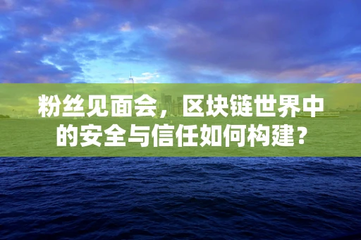 粉丝见面会，区块链世界中的安全与信任如何构建？