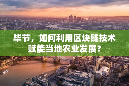 毕节，如何利用区块链技术赋能当地农业发展？