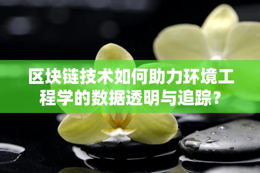 区块链技术如何助力环境工程学的数据透明与追踪？