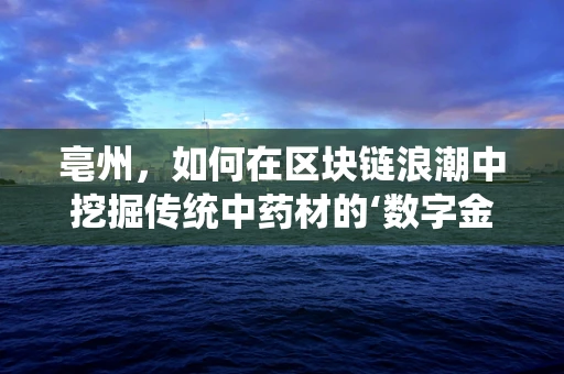 亳州，如何在区块链浪潮中挖掘传统中药材的‘数字金矿’？