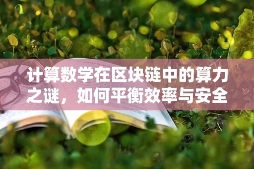计算数学在区块链中的算力之谜，如何平衡效率与安全？