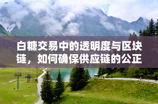 白糖交易中的透明度与区块链，如何确保供应链的公正与安全？