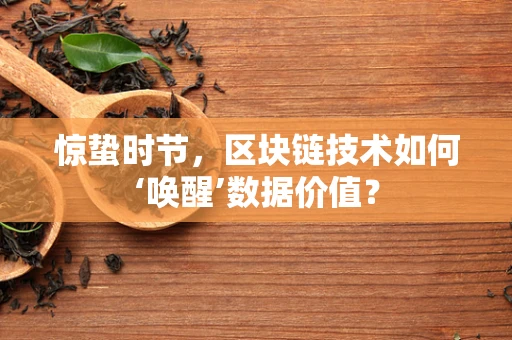 惊蛰时节，区块链技术如何‘唤醒’数据价值？