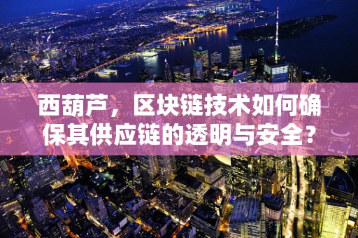 西葫芦，区块链技术如何确保其供应链的透明与安全？