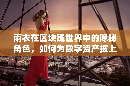 雨衣在区块链世界中的隐秘角色，如何为数字资产披上安全外衣？