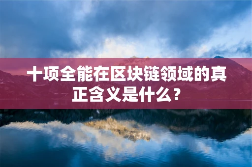 十项全能在区块链领域的真正含义是什么？