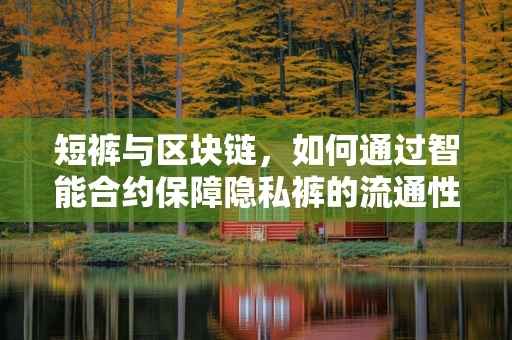 短裤与区块链，如何通过智能合约保障隐私裤的流通性？