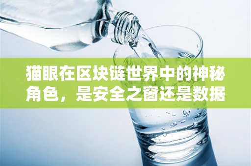 猫眼在区块链世界中的神秘角色，是安全之窗还是数据泄露的隐患？