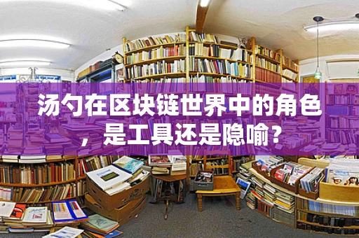 汤勺在区块链世界中的角色，是工具还是隐喻？