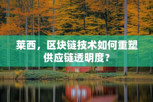 莱西，区块链技术如何重塑供应链透明度？