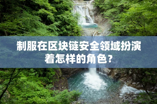 制服在区块链安全领域扮演着怎样的角色？