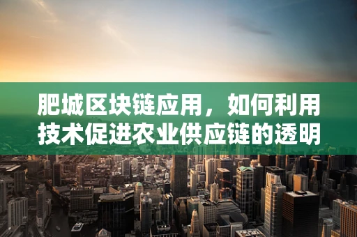 肥城区块链应用，如何利用技术促进农业供应链的透明与效率？