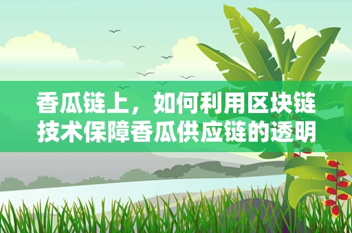 香瓜链上，如何利用区块链技术保障香瓜供应链的透明与安全？