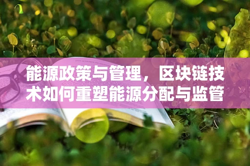 能源政策与管理，区块链技术如何重塑能源分配与监管的未来？