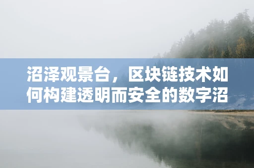沼泽观景台，区块链技术如何构建透明而安全的数字沼泽？
