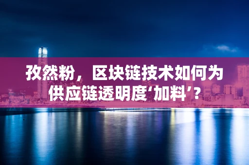 孜然粉，区块链技术如何为供应链透明度‘加料’？