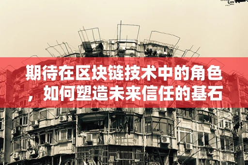 期待在区块链技术中的角色，如何塑造未来信任的基石？