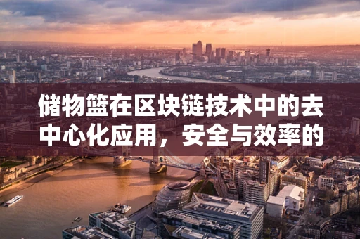 储物篮在区块链技术中的去中心化应用，安全与效率的双重挑战？