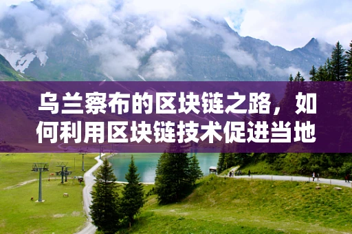 乌兰察布的区块链之路，如何利用区块链技术促进当地农业供应链的透明与效率？