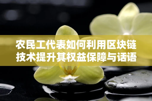 农民工代表如何利用区块链技术提升其权益保障与话语权？