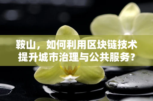 鞍山，如何利用区块链技术提升城市治理与公共服务？