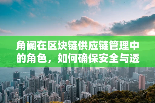 角阀在区块链供应链管理中的角色，如何确保安全与透明？