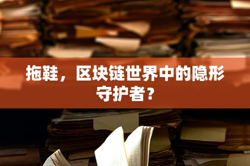 拖鞋，区块链世界中的隐形守护者？
