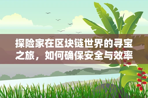 探险家在区块链世界的寻宝之旅，如何确保安全与效率？