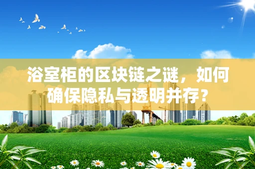 浴室柜的区块链之谜，如何确保隐私与透明并存？