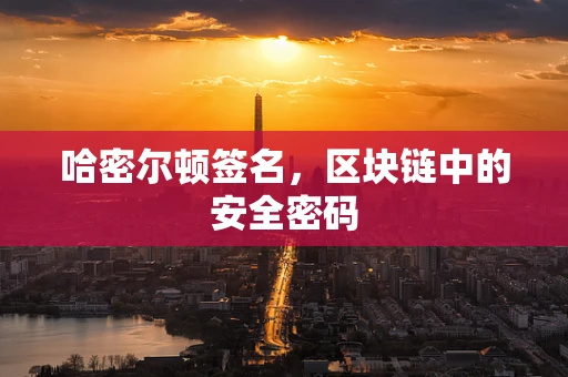 哈密尔顿签名，区块链中的安全密码