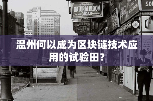 温州何以成为区块链技术应用的试验田？
