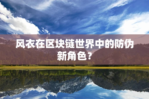 风衣在区块链世界中的防伪新角色？